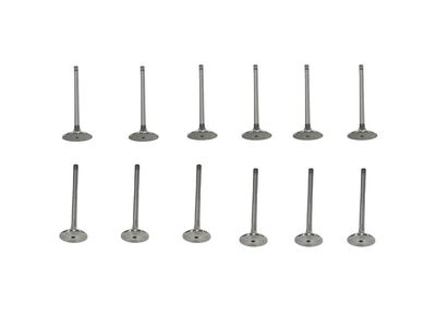 Volkswagen Golf Intake Valve - 021-109-601-L
