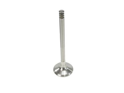 Volkswagen Golf Intake Valve - 021-109-601-L