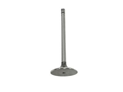 Volkswagen Golf Intake Valve - 021-109-601-L