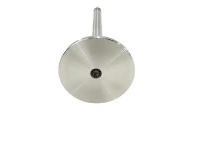 Volkswagen Golf Intake Valve - 021-109-601-L
