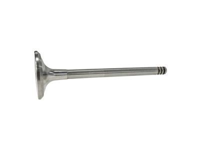 Volkswagen Golf Intake Valve - 021-109-601-L