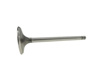 Volkswagen Golf Intake Valve - 021-109-601-L
