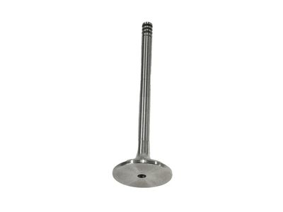 Volkswagen Golf Intake Valve - 021-109-601-L