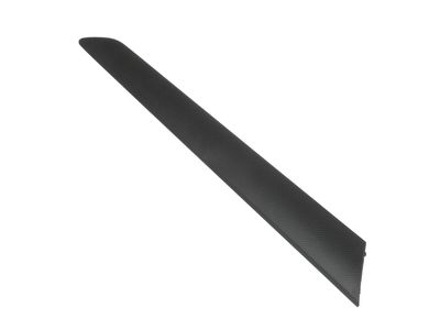 Volkswagen Jetta Door Moldings - 5C6-867-450-82V