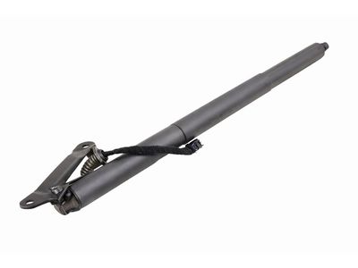 Volkswagen Liftgate Lift Support - 11K-827-550-A