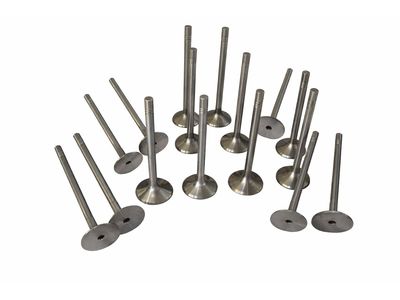 Volkswagen Golf Intake Valve - 03L-109-601