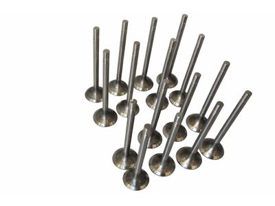 Volkswagen Golf Intake Valve - 03L-109-601