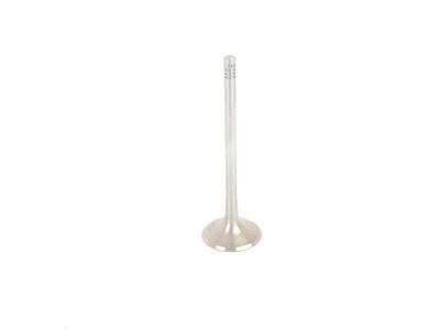 Volkswagen Golf Intake Valve - 06E-109-601-Q