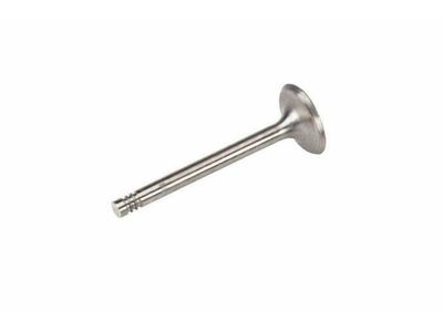 Volkswagen Fox Intake Valve - 028-109-601-H