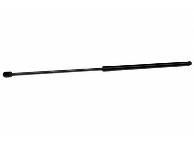 Volkswagen R32 Lift Support - 1K0-823-359-A
