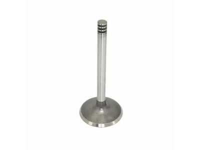 Volkswagen 038-109-601-F