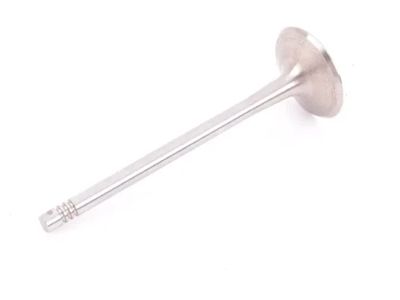Volkswagen Golf Intake Valve - 06K-109-601