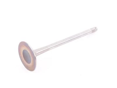 Volkswagen Golf Intake Valve - 06K-109-601