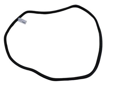 Volkswagen Passat Door Seal - 3C9-867-913-C-5AP