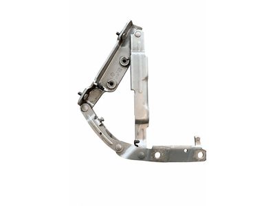 Volkswagen Beetle Liftgate Hinge - 1C0-827-301-D