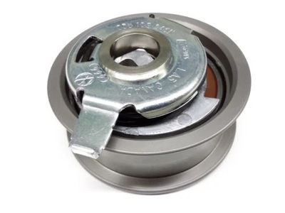 Volkswagen 038-109-243-N