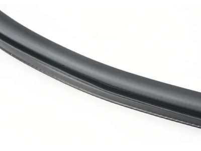 Volkswagen e-Golf Door Seal - 5GE-867-911-A