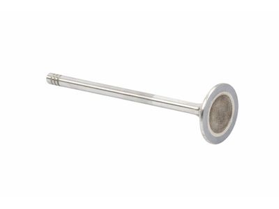Volkswagen Golf Intake Valve - 022-109-601-E