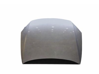 Volkswagen 7P6-823-031-A