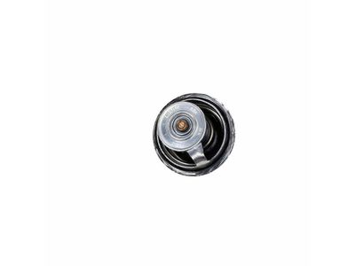 Volkswagen 075-121-113-D