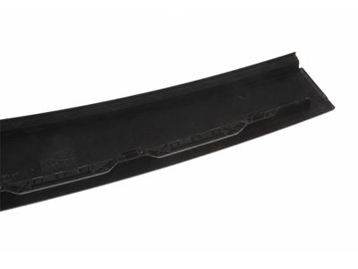 Volkswagen Golf R Door Moldings - 5G6-839-902-B-041