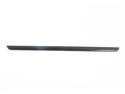 Volkswagen Jetta Door Moldings - 1K4-867-440-2U0