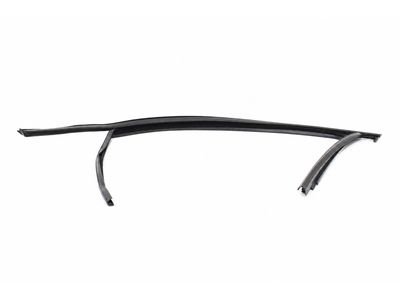 Volkswagen Tiguan Window Run - 5NN-837-431-B-5AP