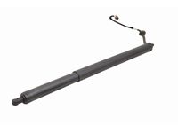 Volkswagen 3CM-827-851-B Lift Cylinder Volkswagen 3CM-827-851-B Lift Cylinder