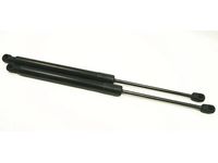 Volkswagen 1K6-827-550-F Strut Volkswagen 1K6-827-550-F Strut