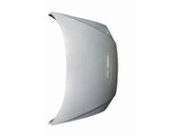 Volkswagen 561-823-031-E Hood