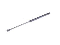 Volkswagen Passat Lift Support - 1J6-827-550-C Strut