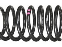 Volkswagen 251-411-105-F-952 Spring Volkswagen 251-411-105-F-952 Spring