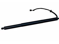 Volkswagen 3CM-827-851-C Lift Cylinder Volkswagen 3CM-827-851-C Lift Cylinder