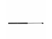 Volkswagen 3C8-823-359-B Lift Cylinder Volkswagen 3C8-823-359-B Lift Cylinder