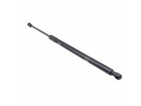 Volkswagen 3CN-827-550-D Lift Cylinder Volkswagen 3CN-827-550-D Lift Cylinder