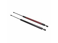 Volkswagen 7D0-829-331-F Lift Cylinder Volkswagen 7D0-829-331-F Lift Cylinder