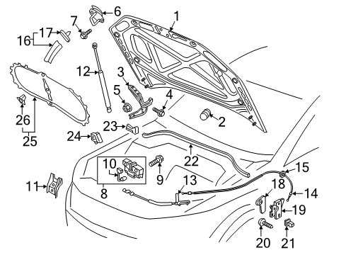 2019 Volkswagen Passat Hood & Components