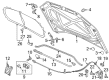 Diagram for Volkswagen Hood - 561-823-031-E