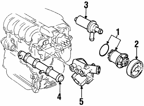 1997 Volkswagen Passat Water Pump Diagram