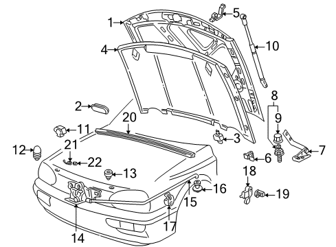 2000 Volkswagen Cabrio Hood & Components Diagram
