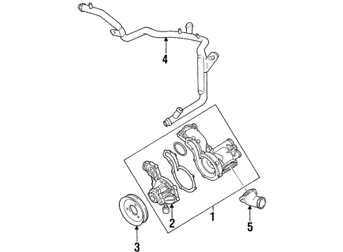 1992 Volkswagen Passat Water Pump Diagram
