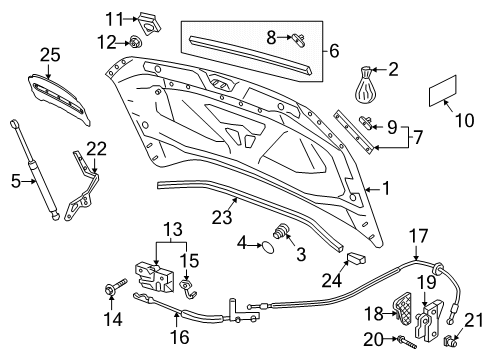 2023 Volkswagen Tiguan Hood & Components