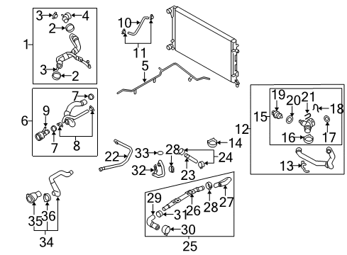 2005 Volkswagen Jetta Hoses, Lines & Pipes Diagram
