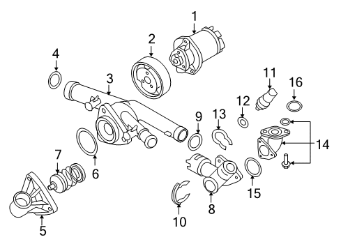 2007 Volkswagen Touareg Water Pump - Belts Diagram 2