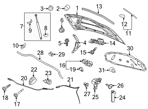 2011 Volkswagen Jetta Hood & Components Diagram 2