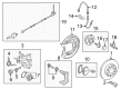 Diagram for Volkswagen Brake Dust Shields - 5C0-615-611-C