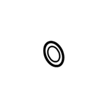 Volkswagen Coolant Pipe Seal - WHT-006-114