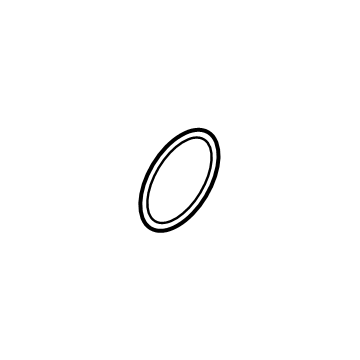 Volkswagen WHT-010-054-A Adapter O-Ring
