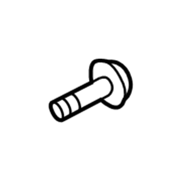 Volkswagen Jetta Door Screws - WHT-002-109