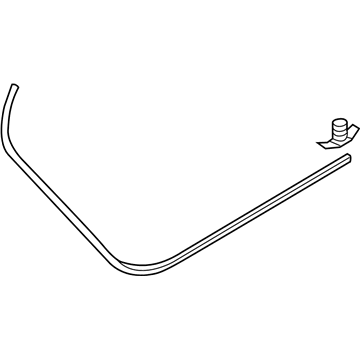 Volkswagen Passat Weather Strip - 561-839-699-B